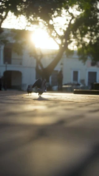 Instagram post from stmichaelsschool. This post is in position 20.